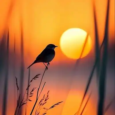 natural beauty eye catching nature dp for whatsapp natural beauty eye catching nature dp for whatsapp